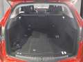 Alfa Romeo Stelvio Magnifica Business 2,2 ATX AWD Rood - thumbnail 11