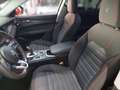 Alfa Romeo Stelvio Magnifica Business 2,2 ATX AWD Rood - thumbnail 5