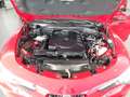 Alfa Romeo Stelvio Magnifica Business 2,2 ATX AWD Rood - thumbnail 19