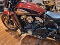 Indian Scout Extras" 100 Jahre (EUR 250/4,99 %) Rouge - thumbnail 7