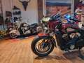 Indian Scout Extras" 100 Jahre (EUR 250/4,99 %) Rouge - thumbnail 30