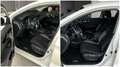 Nissan Qashqai 1.5 dCi 115 CV DCT BUSINESS Bianco - thumbnail 11