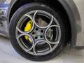 Alfa Romeo Stelvio 2.2 T.diesel 190CV AT8 Q4 Sprint Grau - thumbnail 15