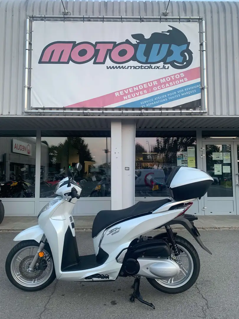 Honda SH 300 Blanc - 2