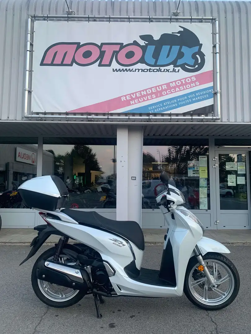 Honda SH 300 Blanc - 1