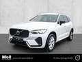 Volvo XC60 Plus Dark Recharge Plug-In Hybrid AWD T8 Twin Engi Weiß - thumbnail 1