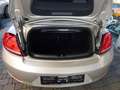Volkswagen Beetle Cabrio mit 200 PS/DSG/18 Alu Vollausst. Beige - thumbnail 11