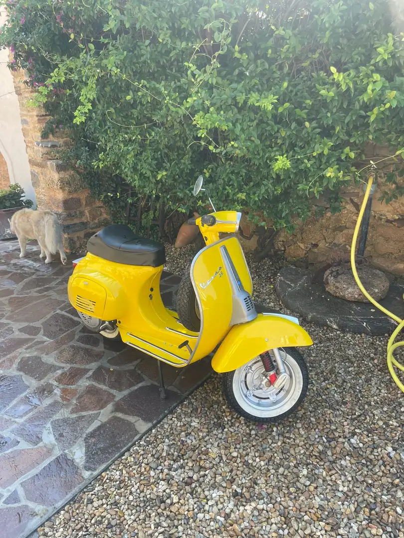 Vespa Special 50 - 1