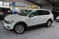 Volkswagen Tiguan Allspace /HIGHL/DSG/PANO/LEDER/ASSIST+/AHK Weiß - thumbnail 3