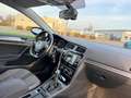 Volkswagen Golf 1.2 TSI DSG Allstar Navi ACC SHZ PDC Grau - thumbnail 11