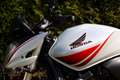 Honda CB 600 F | CB600F Hornet Edition Blanc - thumbnail 22