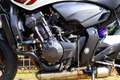 Honda CB 600 F | CB600F Hornet Edition Blanc - thumbnail 20