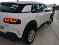 Citroen C4 Cactus 1.5BlueHDi S&S Business 100 Blanc - thumbnail 39