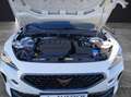 CUPRA Formentor TSI DSG 4Drive LED Pano ACC RFK SH 19" Weiß - thumbnail 9