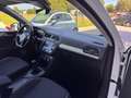 Volkswagen Tiguan 1.6 TDI  Business BlueMotion ANCHE NEOPATENTATI Wit - thumbnail 13