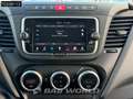 Iveco Daily 50C18 3.0L Automatik Ladebordwand Lambe Weiß - thumbnail 18