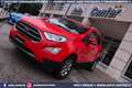 Ford EcoSport 1.5 TDCi 125CV AWD 4x4 Titanium Rouge - thumbnail 8