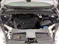 Ford Galaxy Ghia 2,0 TDCi DPF Weiß - thumbnail 24