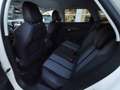 Peugeot 3008 1.6 bluehdi Allure s&s 120cv eat6 Bianco - thumbnail 13