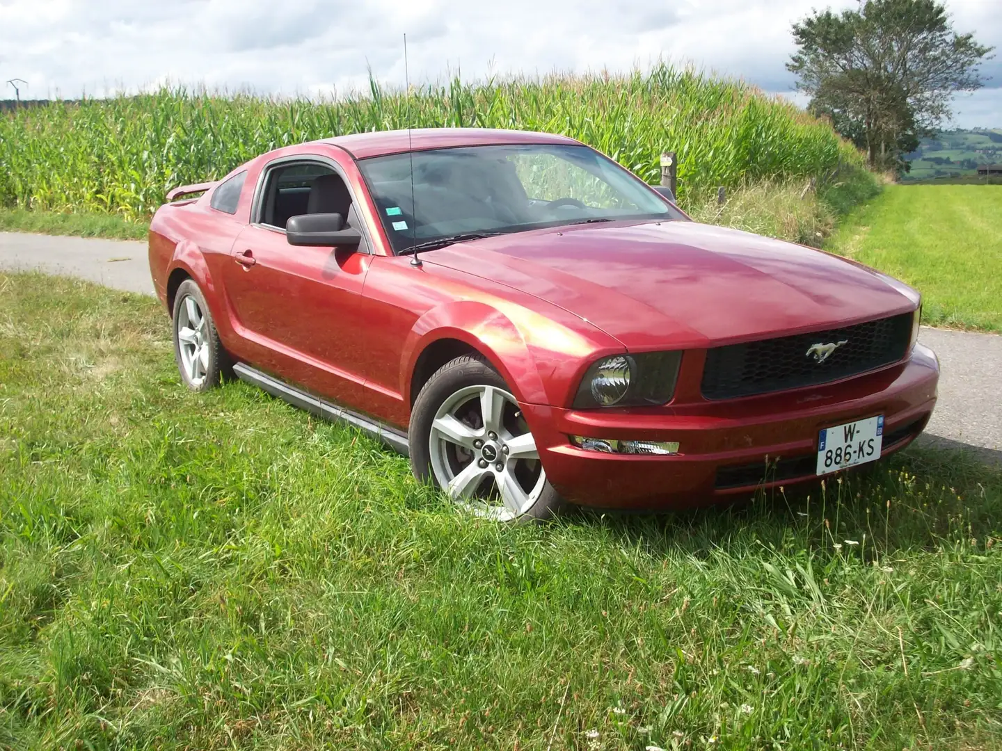 Ford Mustang V6 Rouge - 1