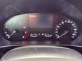 Ford Focus SW 1.0t ecoboost h ST-Line 125cv Blanc - thumbnail 13