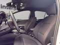 Ford Focus SW 1.0t ecoboost h ST-Line 125cv Blanc - thumbnail 10