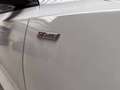 Ford Focus SW 1.0t ecoboost h ST-Line 125cv Blanc - thumbnail 11
