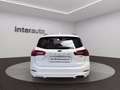 Ford Focus SW 1.0t ecoboost h ST-Line 125cv Blanc - thumbnail 5