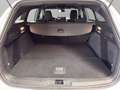 Ford Focus SW 1.0t ecoboost h ST-Line 125cv Blanc - thumbnail 9