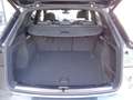 Audi Q5 40 TDI quattro S tronic S line plus Grau - thumbnail 11