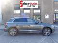 Audi Q5 40 TDI quattro S tronic S line plus Grau - thumbnail 3