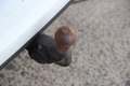 Volkswagen Touran Highline BMT/Start-Stopp Blanc - thumbnail 14