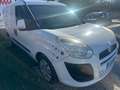 Fiat doblo maxi Bianco - thumbnail 5