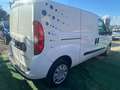 Fiat doblo maxi Bianco - thumbnail 4