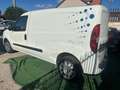 Fiat doblo maxi Bianco - thumbnail 3