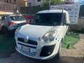 Fiat doblo maxi Bianco - thumbnail 2