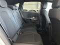 Mercedes-Benz B 250 e 8G LED-PANORAMA-AHK-KAMERA-BUSINESSPAKET Alb - thumbnail 13