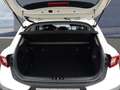 Kia Stonic 1,0 T-GDI DCT Spirit Navi Leder Weiß - thumbnail 10