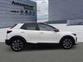 Kia Stonic 1,0 T-GDI DCT Spirit Navi Leder Weiß - thumbnail 7