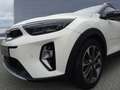 Kia Stonic 1,0 T-GDI DCT Spirit Navi Leder Weiß - thumbnail 9