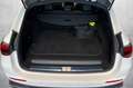 Mercedes-Benz E 300 E 300 e hybrid EQ AMG Line Premium Bianco - thumbnail 15