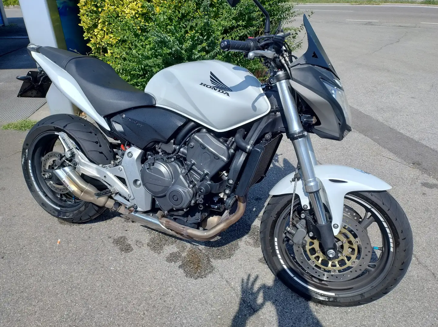 Honda CB 600 Hornet Bianco - 1