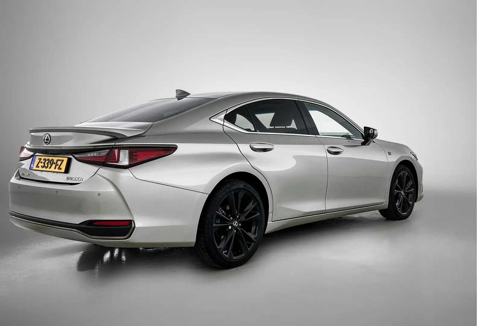Lexus ES 300 300h F Sport Design | Navigatie | PDC | BLS | Grijs - 2