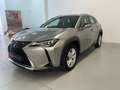 Lexus UX 250h Executive 2WD Beige - thumbnail 4