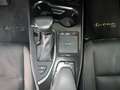 Lexus UX 250h Executive 2WD Beige - thumbnail 17
