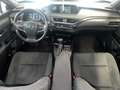 Lexus UX 250h Executive 2WD Beige - thumbnail 14