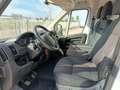 Peugeot Boxer Bianco - thumbnail 7