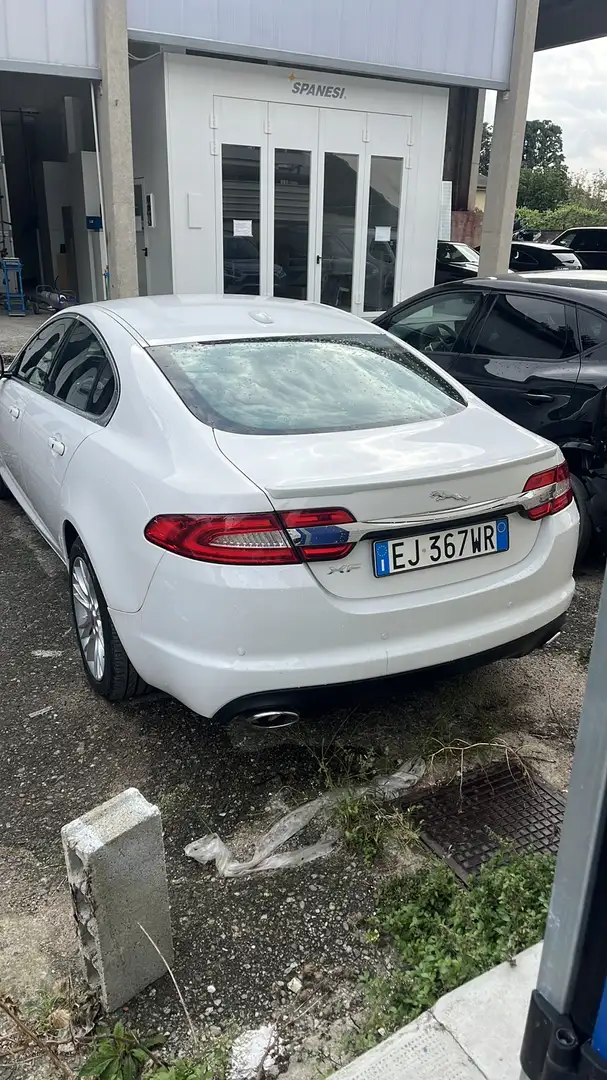 Jaguar XF 2.2d s&s auto - 2