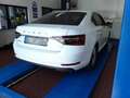 Skoda Superb Limousine Style 4x4 2.0 TDI DSG 360° AHK Blanc - thumbnail 2