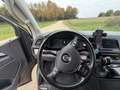 Volkswagen T6 Multivan DSG Kurz 4MOTION Highline - thumbnail 7